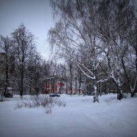 Зима. :: Владимир Драгунский