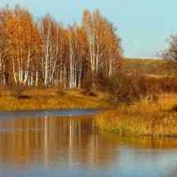 Осень у озера. :: nadyasilyuk Вознюк