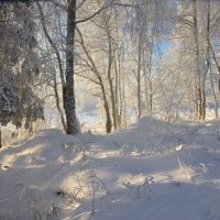 Красавица Зима :: Валентина Харламова