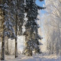 С Новым годом, друзья! :: Валентина Харламова