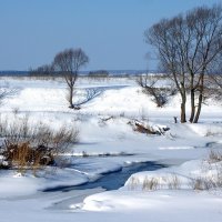 Не сдаётся январю протока... :: Лесо-Вед (Баранов)