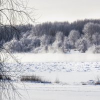 Зима в Прииртышье :: TATYANA PODYMA