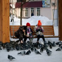 Про голубей :: Татьяна Панчешная