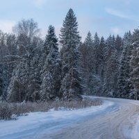 *** :: Владимир Безбородов