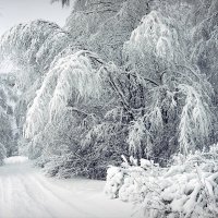 Дорога в снежную зиму :: Николай Белавин