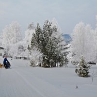 Январская прогулка :: Татьяна Соловьева