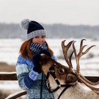 На встречу с северным оленем :: Валерий Гришин