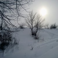 Зима :: Дмитрий 