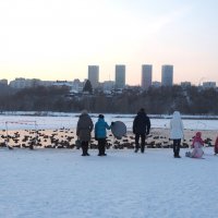 Немного солнца в холодной воде. :: Ильсияр Шакирова