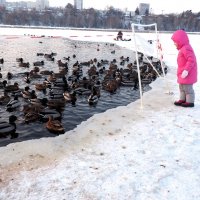 Немного солнца в холодной воде. :: Ильсияр Шакирова