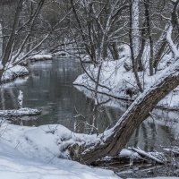 *** :: Владимир Безбородов