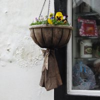 Цветы в подвесной корзине :: Natalia Harries