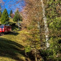 Зубчатая железная дорога на гору Пилатус, Люцерн, Швейцария :: Евгений Леоненко