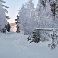 В морозном январе :: Татьяна Соловьева