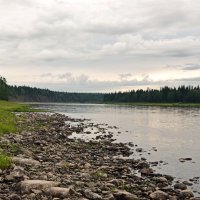 290. Всё ближе к устью… :: ВикТор Быстров