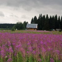 296. Стоянка Мичабечевник. :: ВикТор Быстров