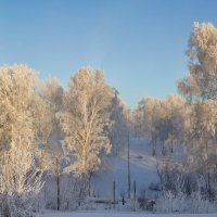 утро за городом :: Николай Мальцев