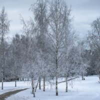 *** :: Владимир Безбородов