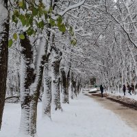 Первый снег :: Наталья Кузнецова