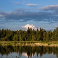 *** :: Владимир Безбородов