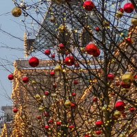 Зимние яблочки на Красной площади (08.01.2019) :: Надежда Лаптева