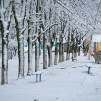 Зима в Ростове :: Александр Гапоненко