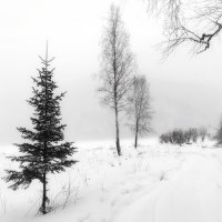 winter lake :: Ирина Секачева