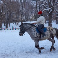 Разминка в любую погоду :: Инна Драбкина