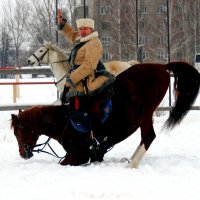 низкий поклон :: Дмитрий Солоненко