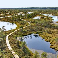 Кемерский национальный парк. Латвия :: Liudmila LLF