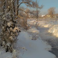 Январь в золотых тонах :: Олег Че