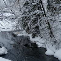 Речка :: Светлана Петошина