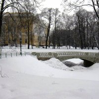 Михайловский сад... мостик... :: Юрий Куликов