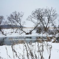 Начало зимы на Протве :: Сергей Курников