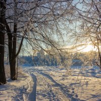 Красивая зима :: Нина Кутина