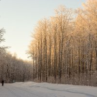 Фотобиатлон :: Олег Манаенков