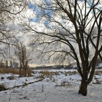 Зимний пейзаж :: Ольга Винницкая (Olenka)