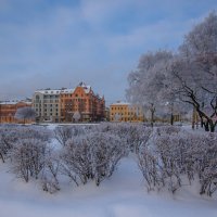 Зимний Петербург :: Наталья Левина