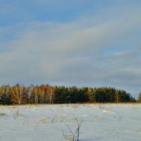 поле снега :: Владимир 