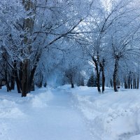 под снегом город белый :: Сергей Борисович 