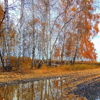 Гляделась осень в зеркало. :: nadyasilyuk Вознюк