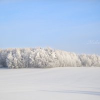 Зимний лес :: Ольга Милованова