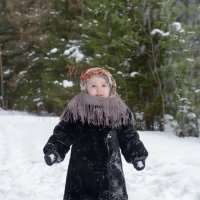 В снегу :: Евгений Ломко