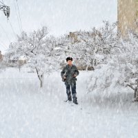 Снег кружился и падал :: Анатолий Чикчирный