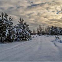 Зимний день 2 :: Андрей Дворников