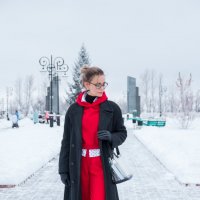 Настроение зима :: Елена Широбокова