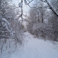 Зима :: Денис Матвеев