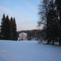 Павловский парк. Январь :: Наталья Герасимова