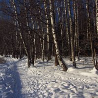 Зима!.. Фотограф торжествует! :: Андрей Лукьянов