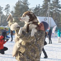 Вечный двигатель. :: aWa 